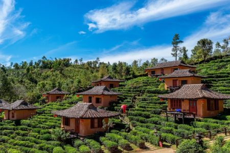 Romantic Ooty Honeymoon Package for 2 Nights & 3 Days